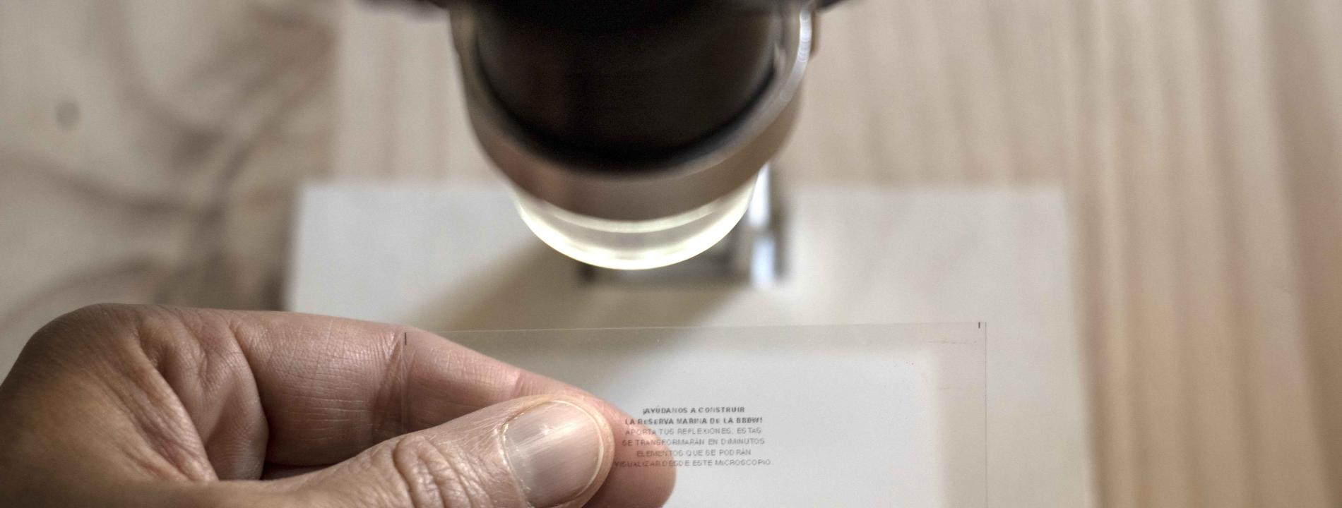 Microrrelatos: Testimonios al microscopio 